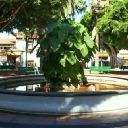 Cozy Harbour View In * بويرتو ذي لا كروز