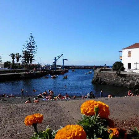 Cozy Harbour View In شقة